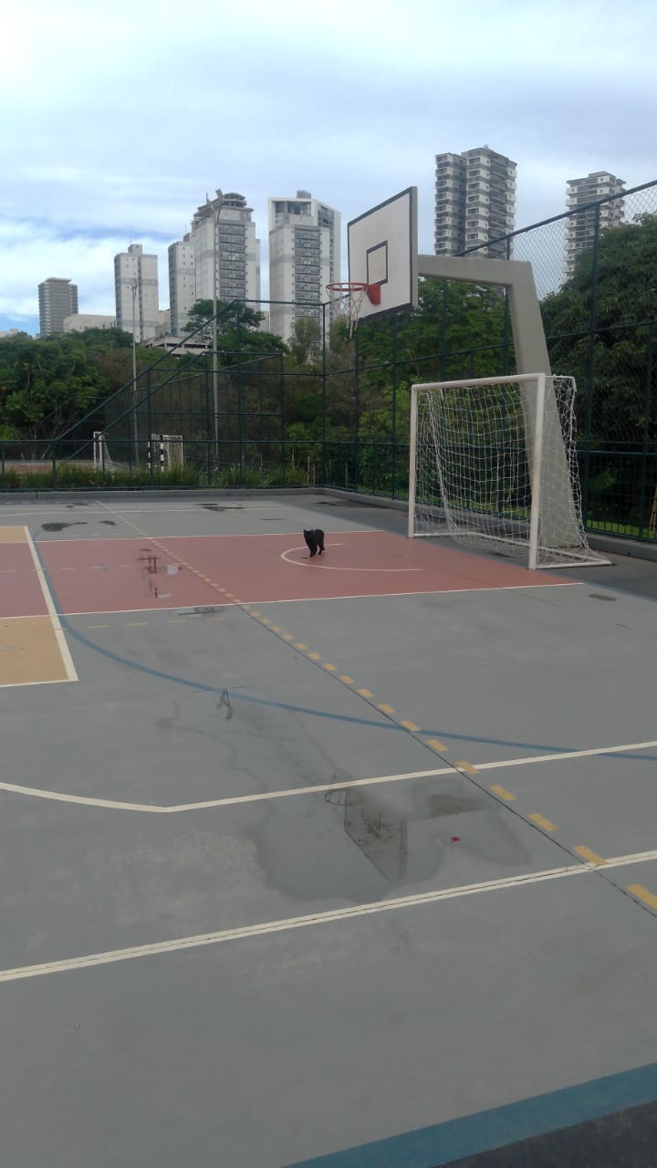 Quadra poliesportiva com pintura de demarcação com linhas coloridas e bem definidas
